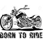 Born to Ride H