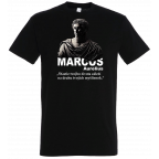 Marcus Aurelius image
